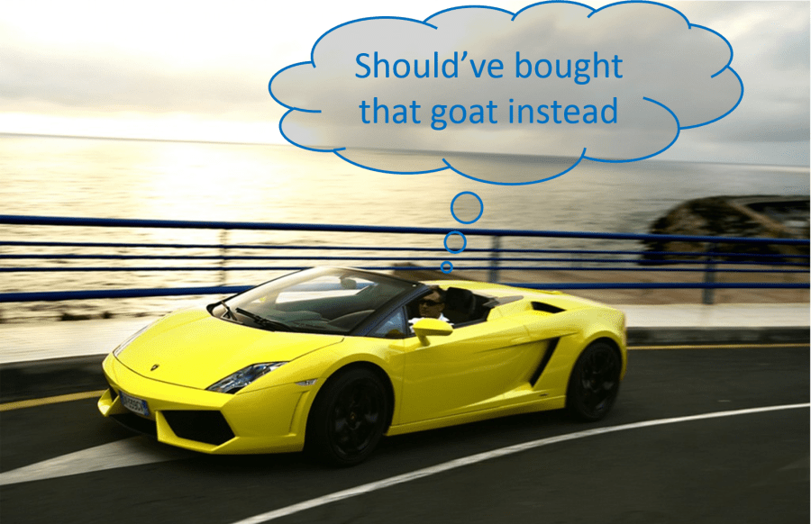 goat regret