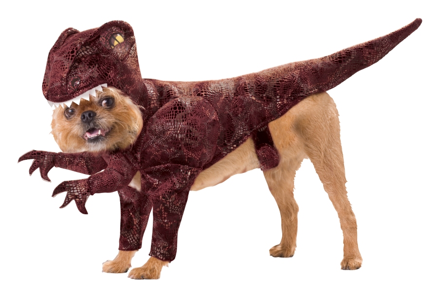 dog-halloween-costumes-raptor.jpg
