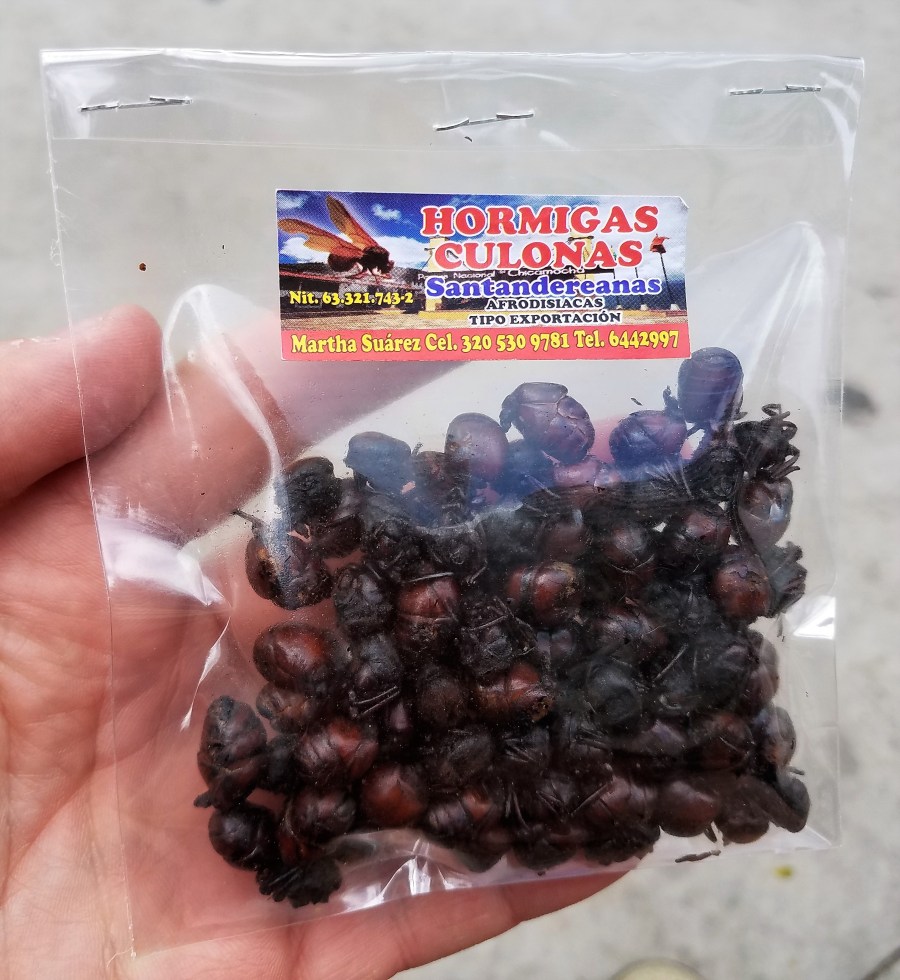 Bogota roasted ants