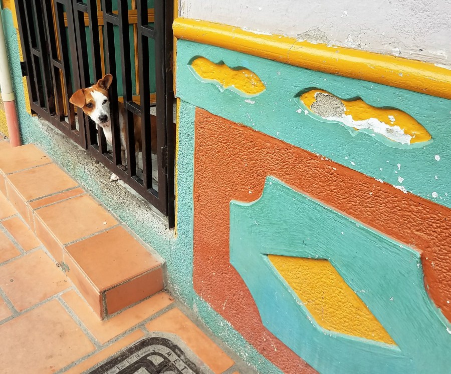 Guatape peeling walls