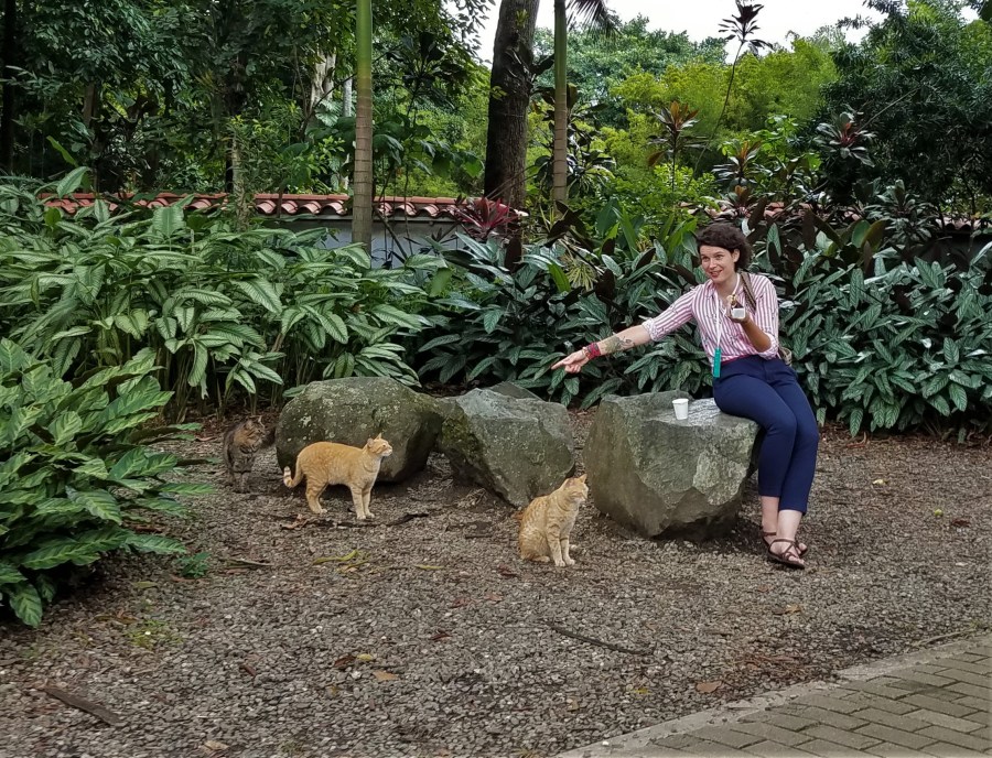 Medellin botanic cats