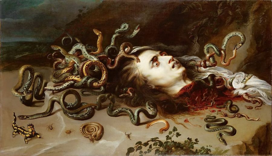 Rubens_Medusa